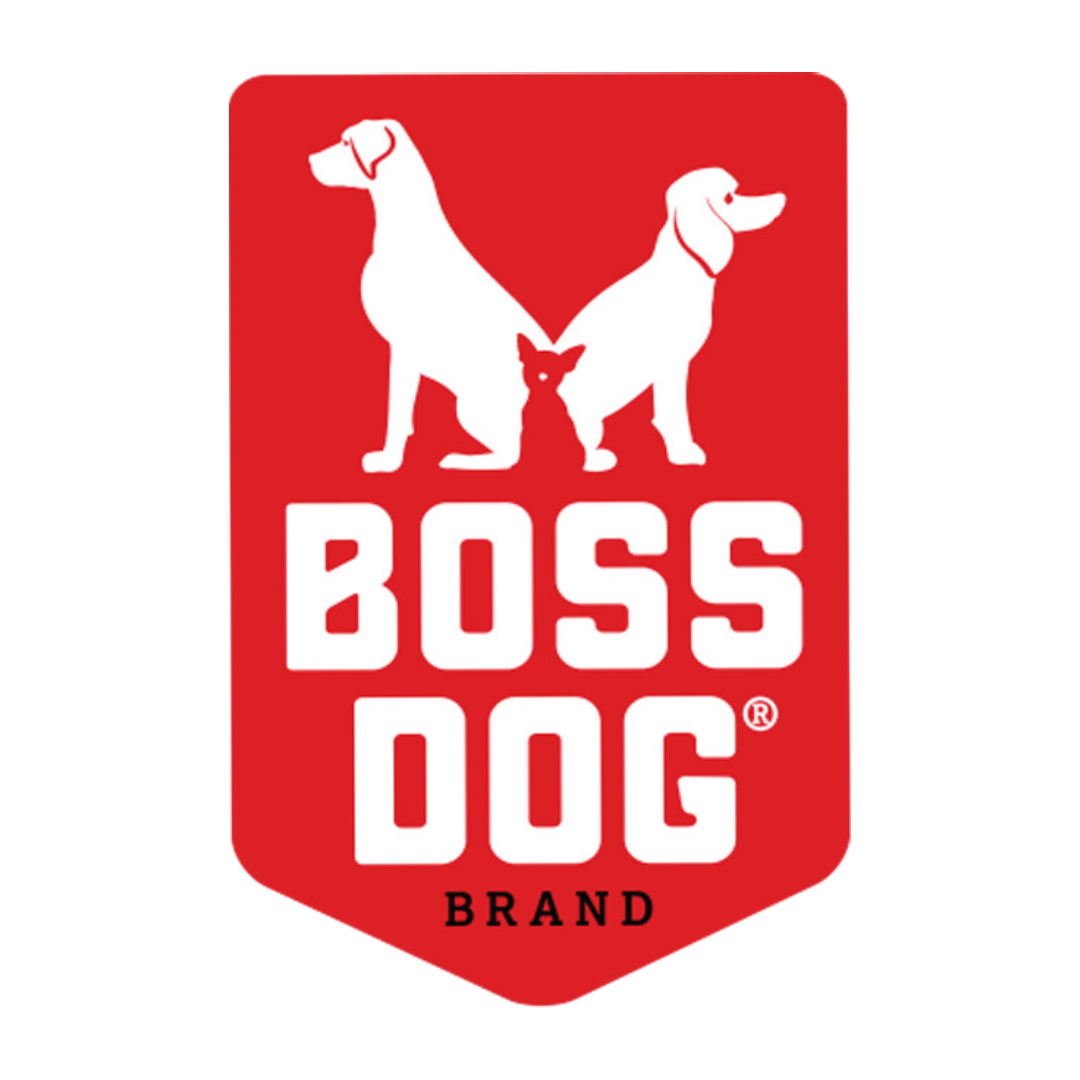 Boss Dog - Sg Pet Festival 2024